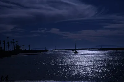 DSC_0796 (Large).JPG